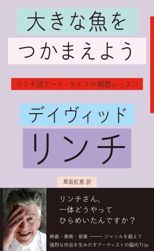 大きな魚をつかまえよう―リンチ流アート・ライフ∞瞑想レッスン - 四月社