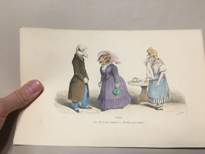 【手付彩色】1860年代J.Jグランヴィル 「当世風変身物語」風刺画  火災保険 - フネートル・KY