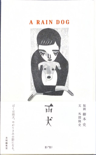 雨犬 A RAIN DOG - 蜂飼 耳の本棚