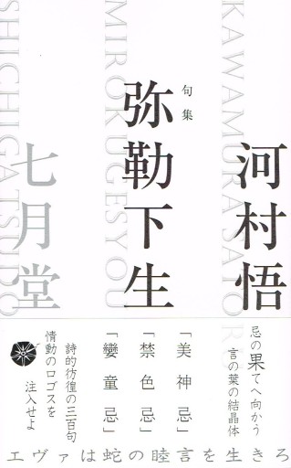 句集『弥勒下生』(七月堂） - テテクイカ