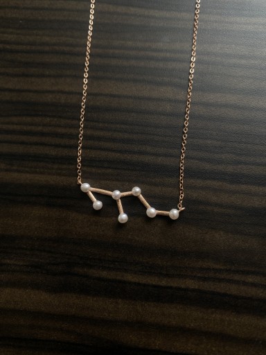 Zodiacペンダント（獅子PK） - BC by BAY COLLECTION