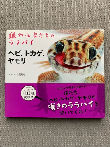 ヘビ、トカゲ、ヤモリ 嫌われ者たちのララバイ - Mon Moelleux