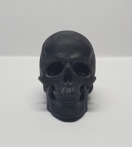 髑髏 - AMMON TOKYO