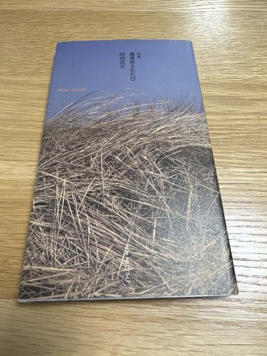 詩集 風来坊ふたたび - 伴健人書店