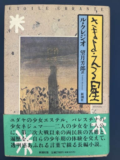 さまよえる星 - 佐々木 幹郎の本棚