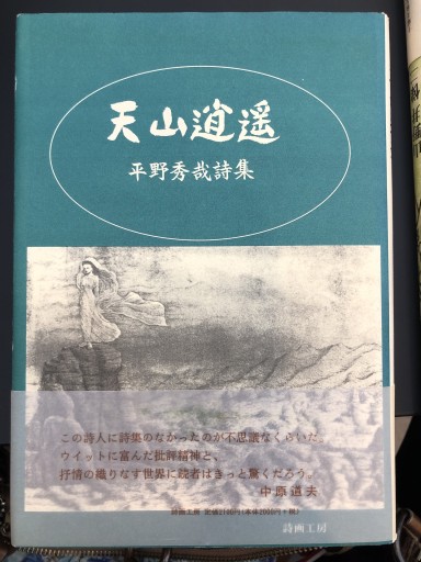 天山逍遥 平野秀哉詩集 - 静香リブロス