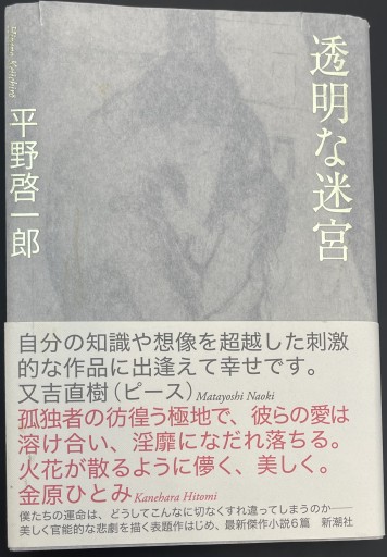 透明な迷宮（新潮文庫） - ラブデスリーブ書店