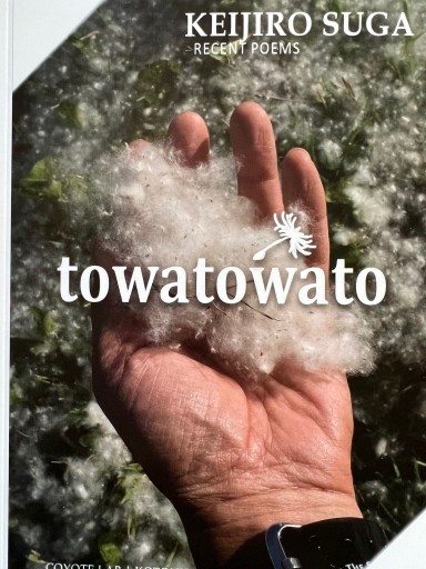 towatowato - Chelsea's Ledge