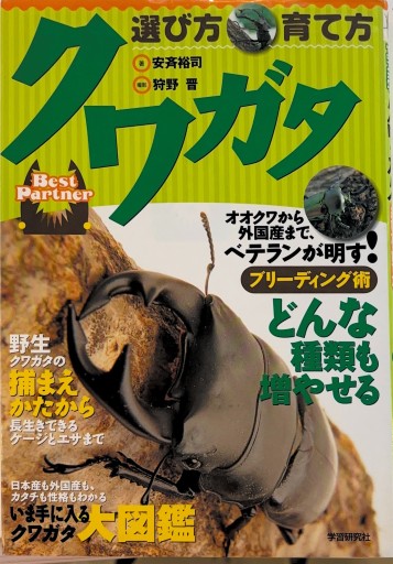クワガタ選び方・育て方: Best partner - クワガタ書林