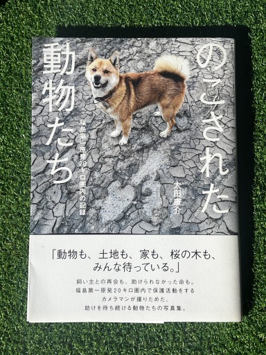 のこされた動物たち - 富沢 櫻子の本棚