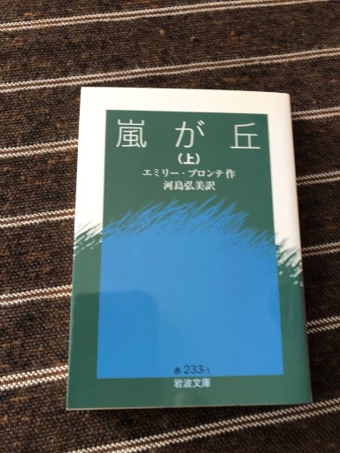 嵐が丘（上）（岩波文庫） - 鹿島茂SOLIDA書店