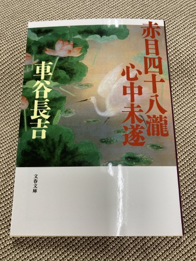 赤目四十八瀧心中未遂 - 鈴木マキコの本棚