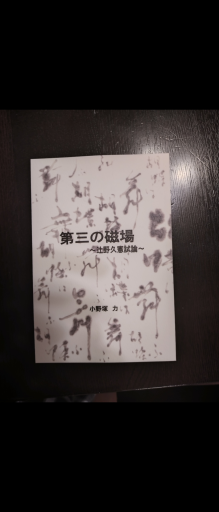 第三の磁場 辻野久憲試論 - 未踏の大地