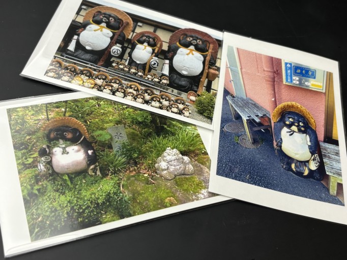 たぬきポストカード - たぬきの本棚