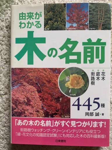 由来がわかる木の名前 - 青い麦舎