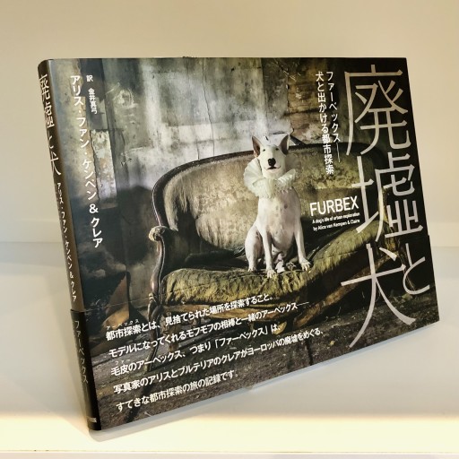 廃墟と犬 ファーベックス──犬と出かける都市探索 - ベニーの本棚