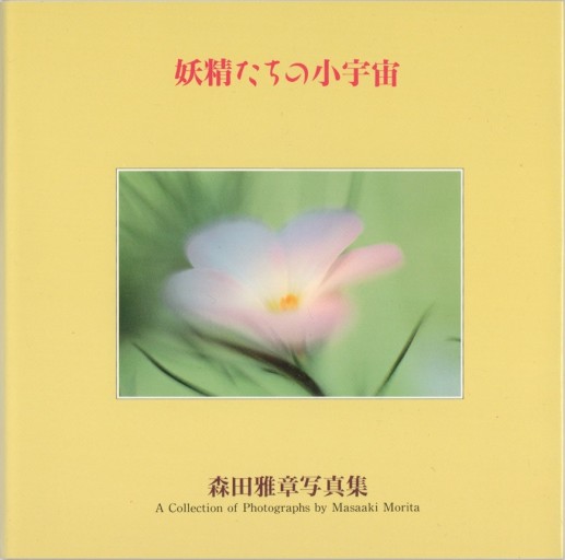 妖精たちの小宇宙 - 協同組合日本写真家ユニオン