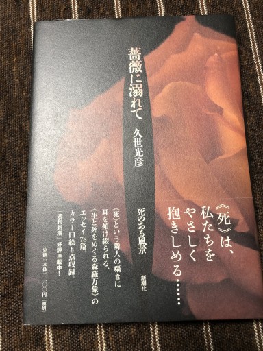 薔薇に溺れて: 死のある風景 - 鹿島茂SOLIDA書店