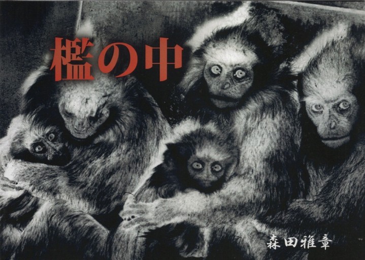 檻の中 - 協同組合日本写真家ユニオン