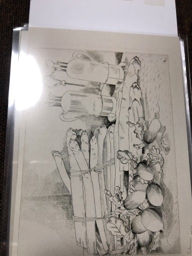 アスパラとラディシュ - 岸リューリ