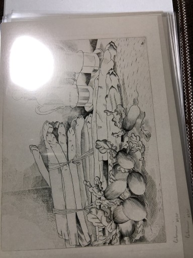 アスパラとラディシュ - 岸リューリSOLIDA書店