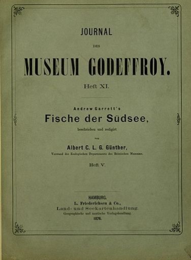 Journal des Museum Godeffroy - 荒俣宏の本棚