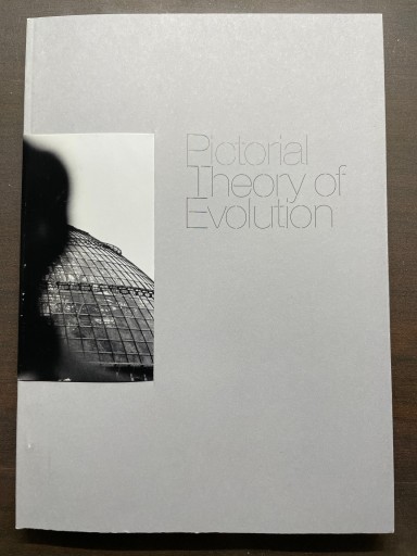 画像進化論：Pictorial Theory of Evolution サルからヒトへ、そしてスペクタクルの社会 メディア的進化と創造的退行のダイナミズム - 書肆夕星