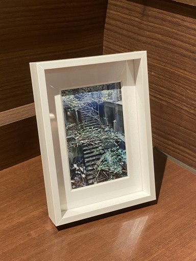 軍艦島−02 「廃墟と新緑1」（L判フォトフレーム付き） - こころば書房