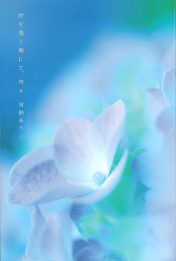 骨を撒く海にて、草々 - 教育研究会Festina Lente bis店