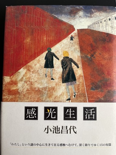 感光生活 - 小池昌代の本棚