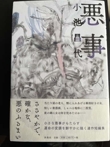 悪事 - 小池昌代の本棚
