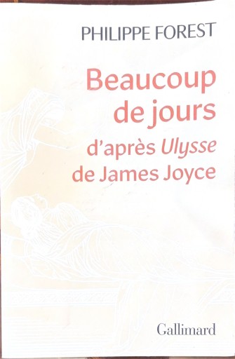 Beaucoup de jours - 澤田直の本棚（RIVE GAUCHE店）