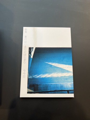 歌集「夏のはじまりとはじまり」 - 双子のライオン堂