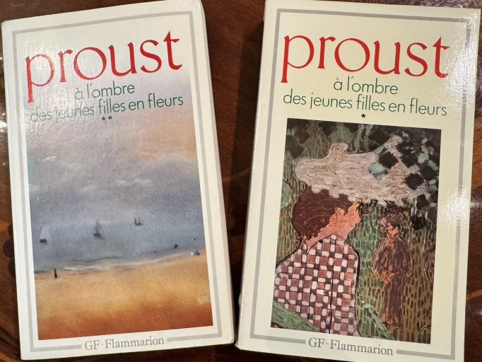 A l'ombre des jeunes filles en fleurs 1&2 - 澤田直の本棚（RIVE GAUCHE店）