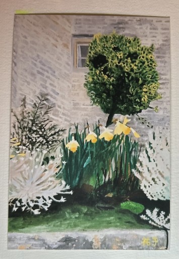 ポストカード コッツウォルズの春 - スイセンの花🇬🇧 - Chez Kaédée