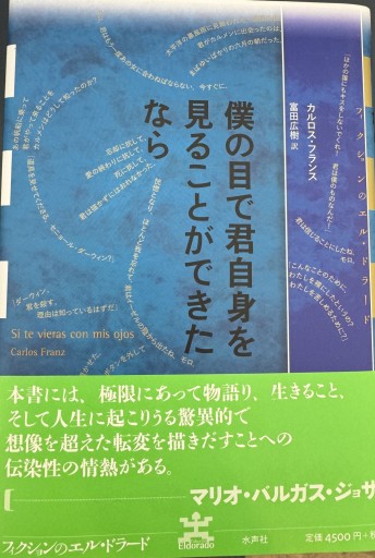 僕の目で君自身を見ることができたなら - 高山 宏の本棚