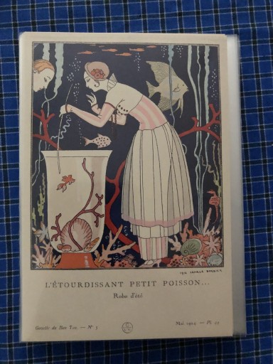 小さな魚 - 岸リューリSOLIDA書店