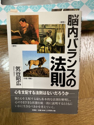 脳内バランスの法則 - 気谷昭広の棚