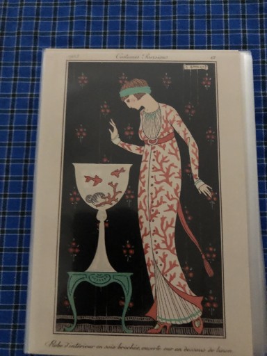 コスチューム パリジャン - 岸リューリSOLIDA書店