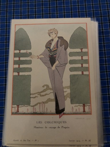 パカンの旅行ドレス - 岸リューリSOLIDA書店