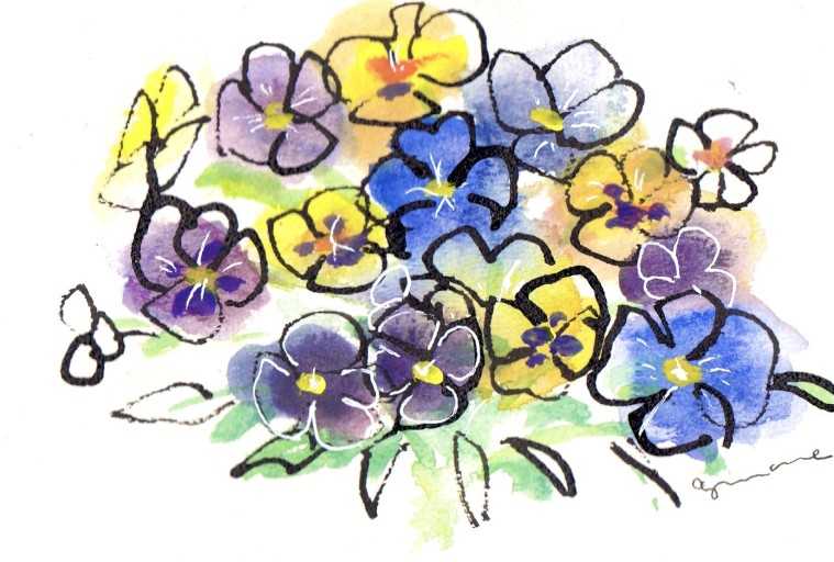 pensées - azumamé labo