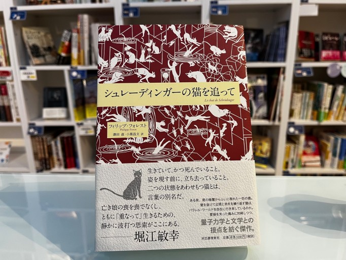 シュレーディンガーの猫を追って - 澤田直の本棚