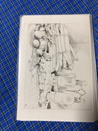 アスパラガス - 岸リューリ（RIVE GAUCHE店）