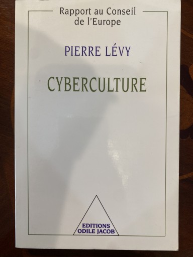 Cyberculture - 澤田直の本棚（RIVE GAUCHE店）