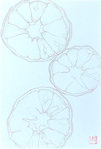 ポストカード kansoumikan - fuminw