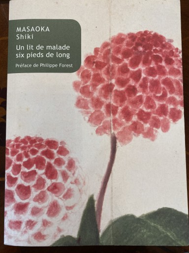 Un Lit De Malade Six Pieds De Long（Collection Japon） - 澤田直の本棚（RIVE GAUCHE店）