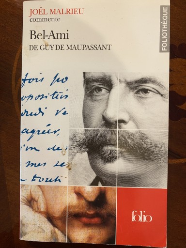 Foliotheque: Maupassant - 澤田直の本棚（RIVE GAUCHE店）