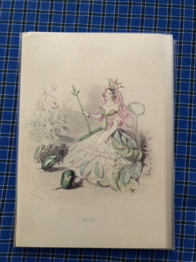 フルールアニメ - 岸リューリ