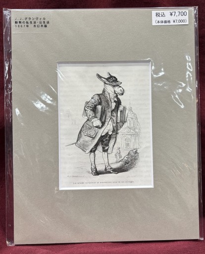 J.J.グランヴィル 「動物の私生活・公生活」⑥ - アートハーベスト