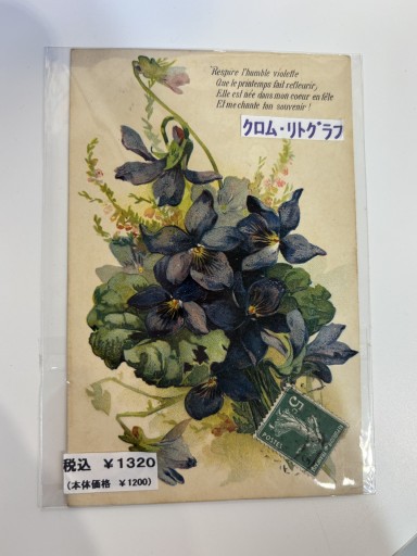 アンティークポストカード すみれ - アートハーベスト